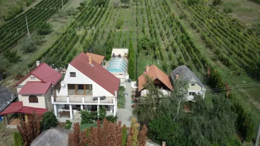 Kuća Za prodaju 99128 Vinica SK