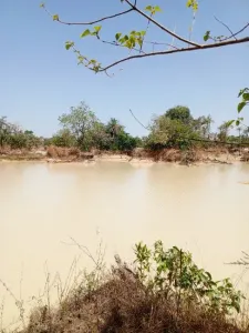 Građevinsko zemljište Za prodaju 0000 Brikama Gambia  DE