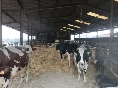Farma Za prodaju 54000 GRAFIGNY FR