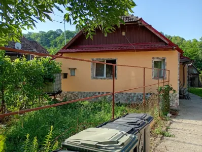 Farma Za prodaju 407124 Vaida-Camaras RO